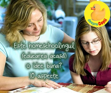 Este homeschoolingul (educarea acasa) o idee buna? 10 aspecte.