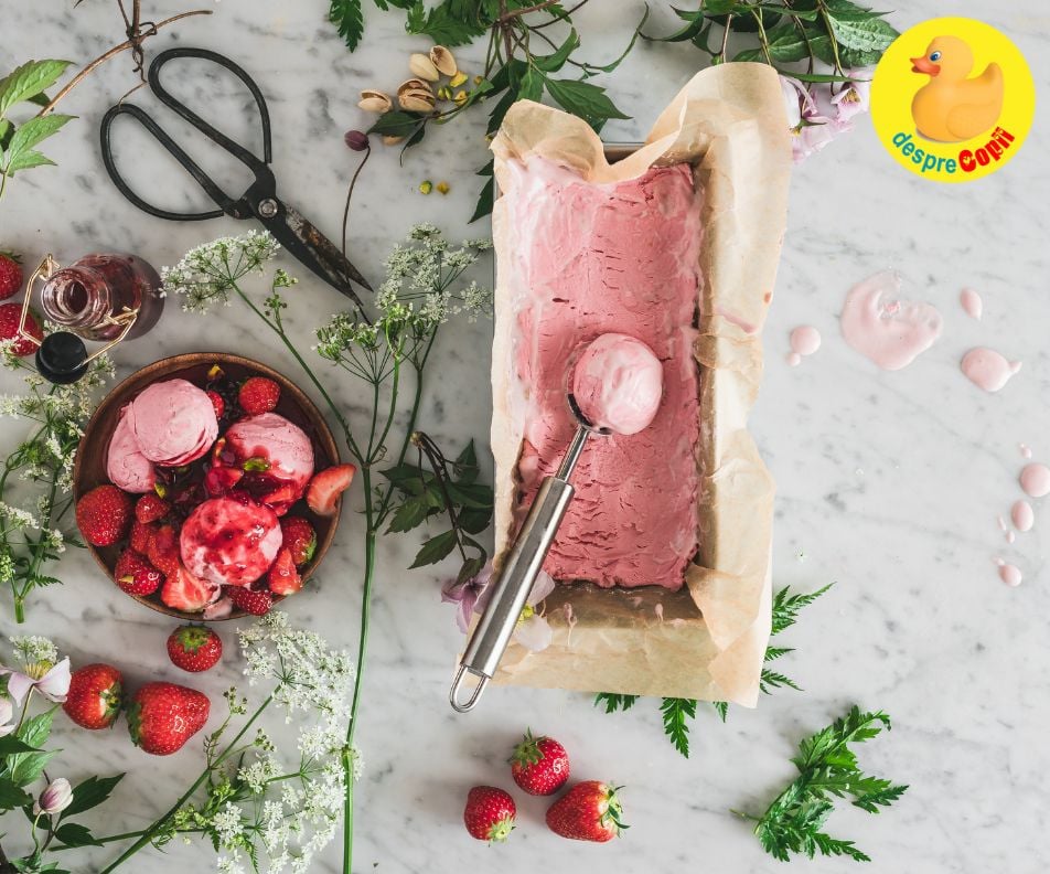 Cele mai bune retete de inghetata de casa. 15 retere speciale si delicioase