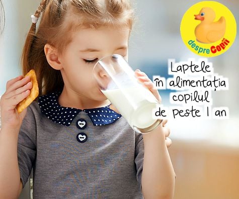 Laptele in alimentatia copilul de peste 1 an