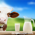 Este laptele un aliment sanatos sau nu?