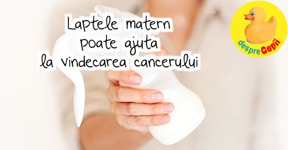 Laptele matern poate ajuta la vindecarea cancerului