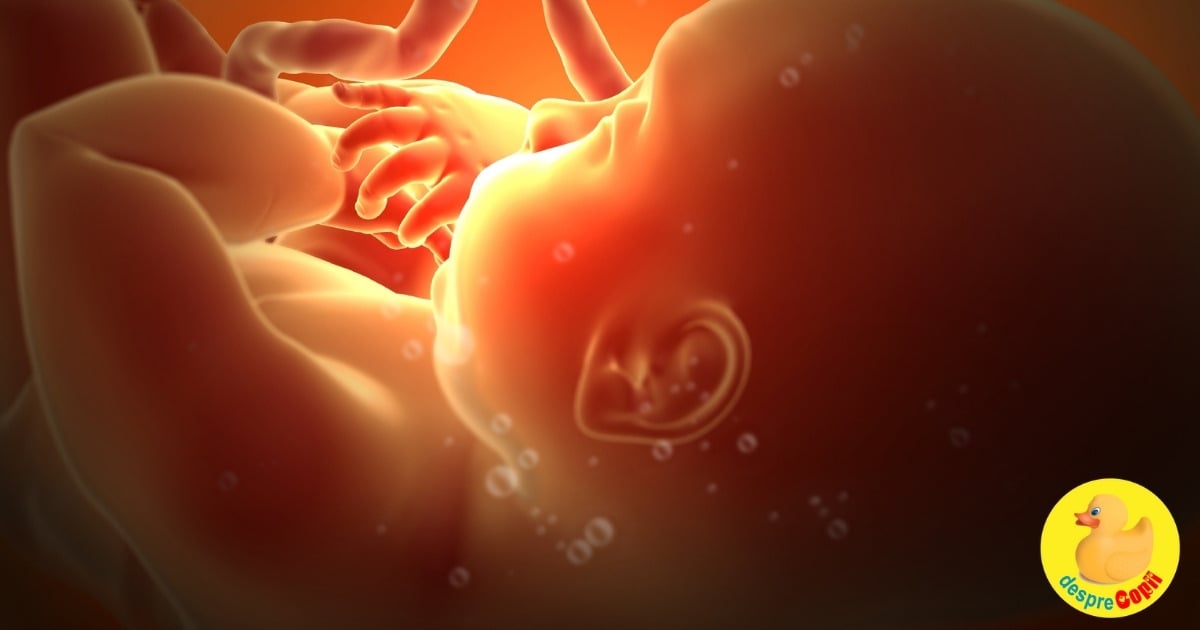 GHIDUL lichidului amniotic in timpul sarcinii. Calculul indicelui de lichid amniotic - in functie de trimestru width=