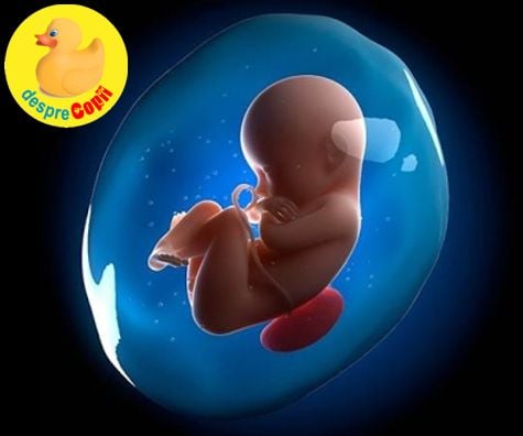 Lichidul amniotic: de ce este important nivelul sau in timpul sarcinii
