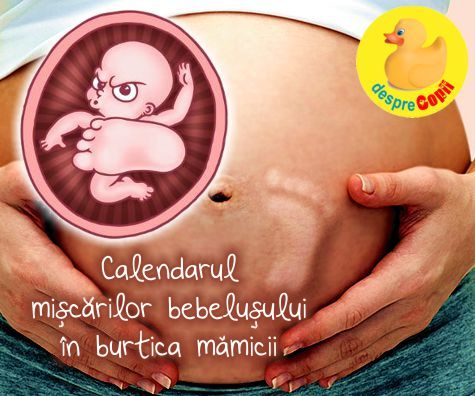 Calendarul miscărilor bebelusului in burtica mamicii