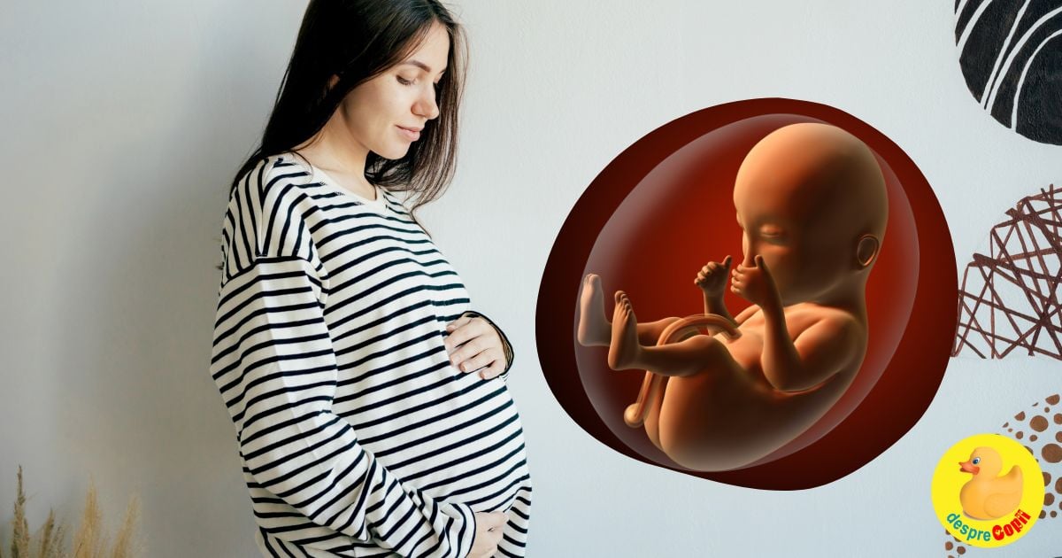 Miscările fetale, primele semne ale bebelușului în burtica mamei - cum se simt și mai ales CÂND