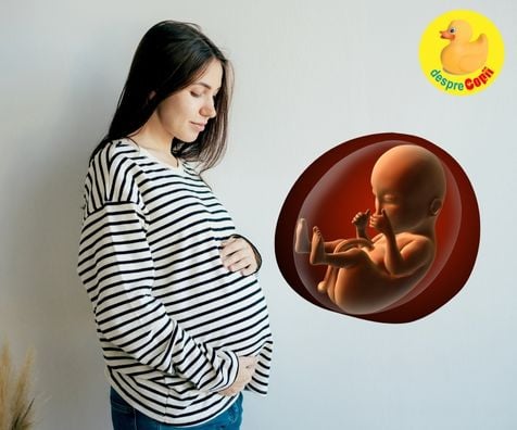 Miscările fetale, primele semne ale bebelușului în burtica mamei - cum se simt și mai ales CÂND