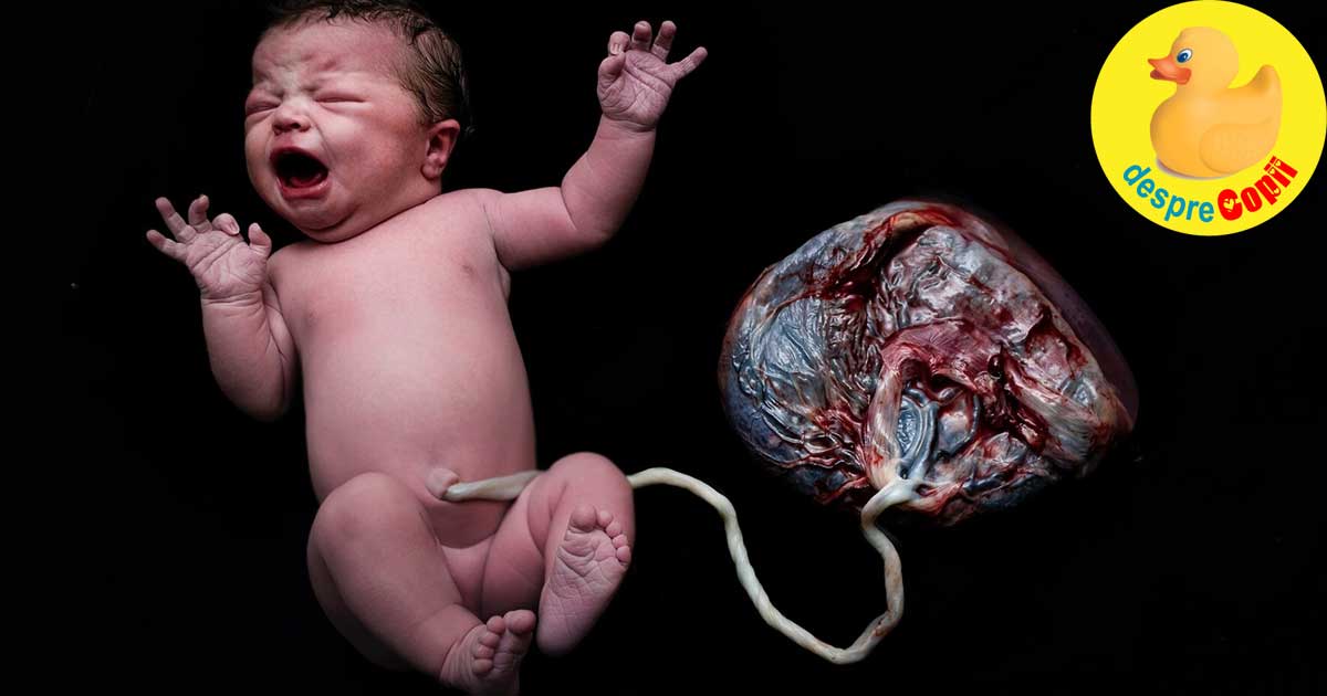 Nașterea Lotus - intre mit, trend și realitate: când cordonul ombilical nu se taie
