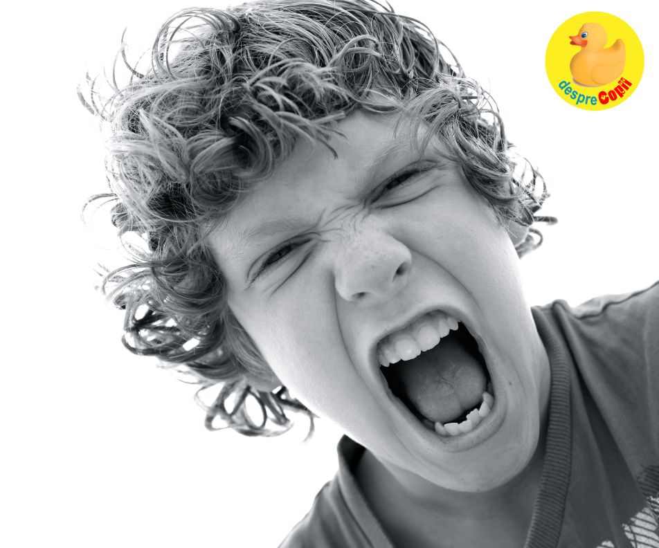 Furia copiilor: Cum gestionăm furia explozivă la copii și adolescenți - planul de furie in 12 puncte si sfatul psihologului