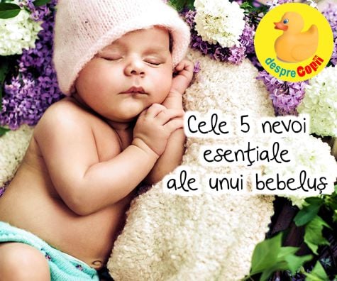 Bebelusul nou-nascut: cele 5 nevoi esentiale