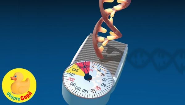 Obezitatea, intre stilul de viata si mostenirea genetica