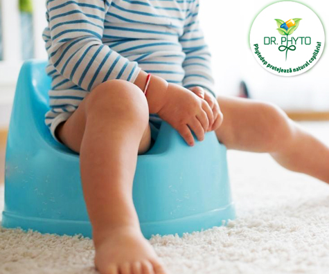 Antrenamentul la olita si constipatia - cum putem regla natural tranzitul intestinal al bebelusului?
