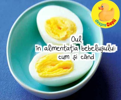 Oul în alimentația bebelușului: cum și cand - și retete cu ou pentru bebeluși