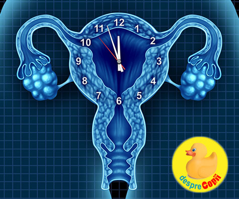 Tulburarile de ovulatie: cauze si efecte