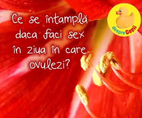 Ce se intampla daca faci sex in ziua in care ovulezi?