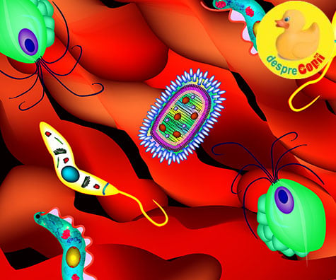 Infectia Cu Oxiuri La Copii Simptome Si Tratament Desprecopii Com