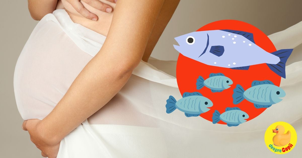 Ce pește avem voie să mancăm in timpul sarcinii și ce categorii trebuie evitate