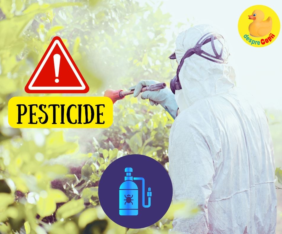 Putem elimina pesticidele de pe fructe si legume? Un ghid pentru a ne apara copiii de substanțe chimice toxice
