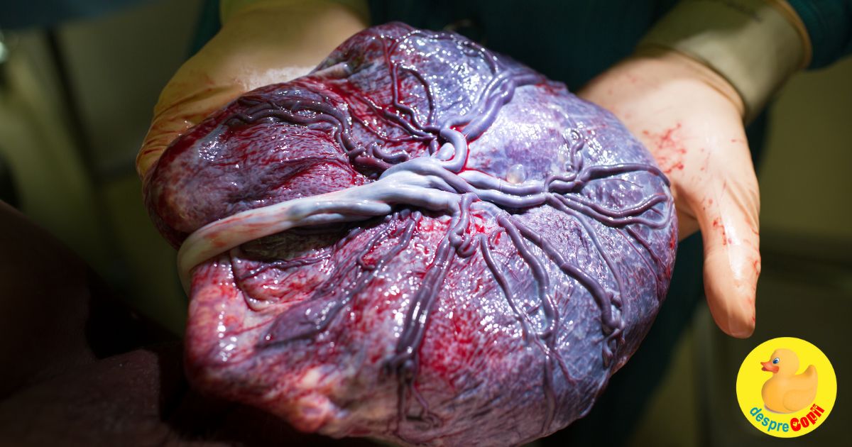 Placenta: 26 de lucruri uimitoare despre acest organ minune care ofera protectie absoluta lui bebe width=
