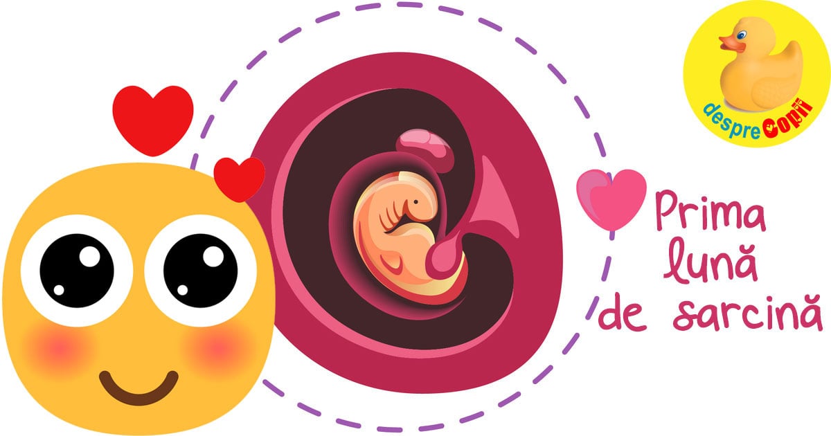 Luna 1 de sarcina -  ce se intampla cu tine si de ce trebuie sa fii precauta width=