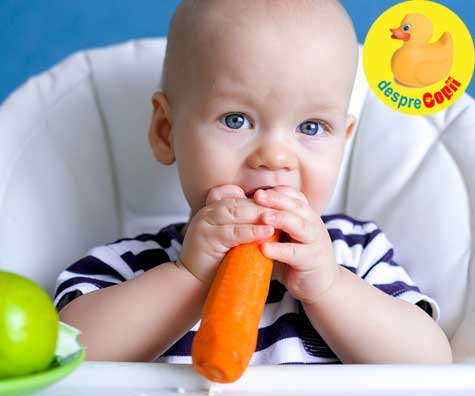 12 retete cu morcovi pentru bebelusi dar si pentru copilasi - pentru sustinerea sistemului imunitar