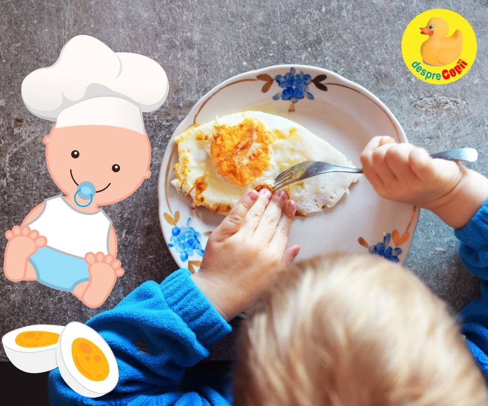 21 rețete cu ou pentru bebeluși si copilași - bogate în proteine de calitate și vitamine esențiale