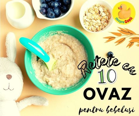 10 retete cu fulgi de ovaz pentru bebelusi - bogate in fier, vitamine, fibre si antioxidanti