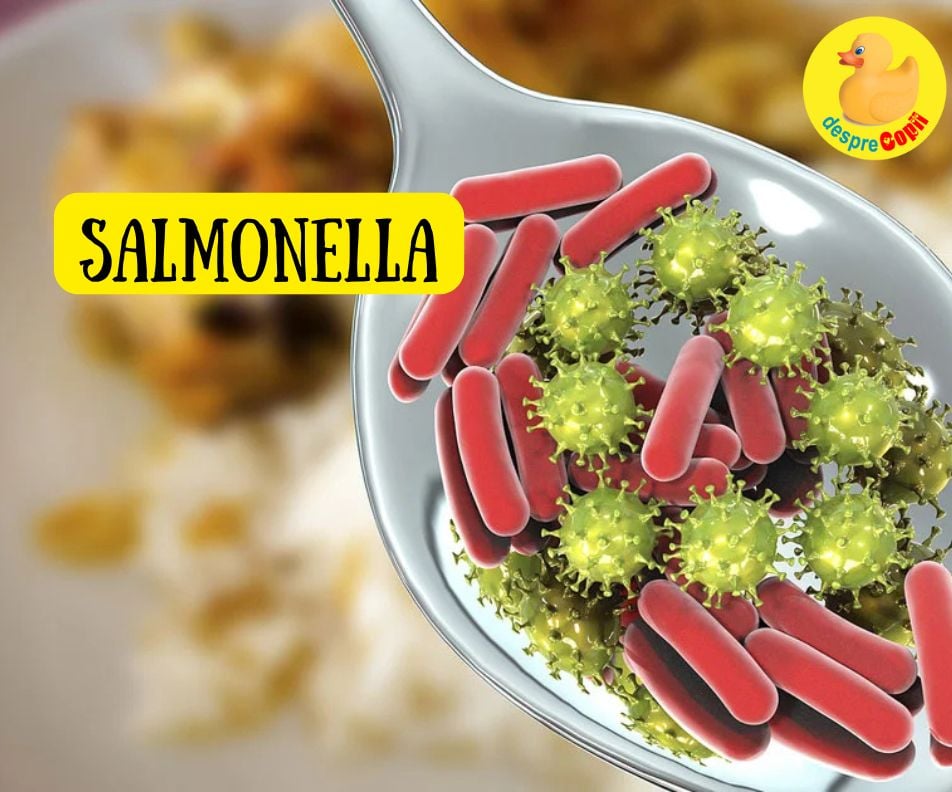 Salmonela si salmoneloza. Intrebari si raspunsuri despre alimentele care ne pot imbolnavi grav familia si sfatul medicului