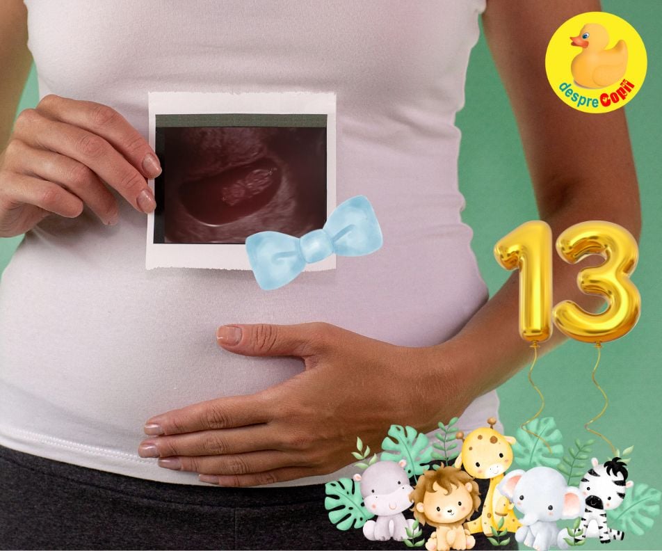 Saptamana 13: prima morfologie si frica de a nu contracta scarlatina in sarcina - jurnal de sarcina