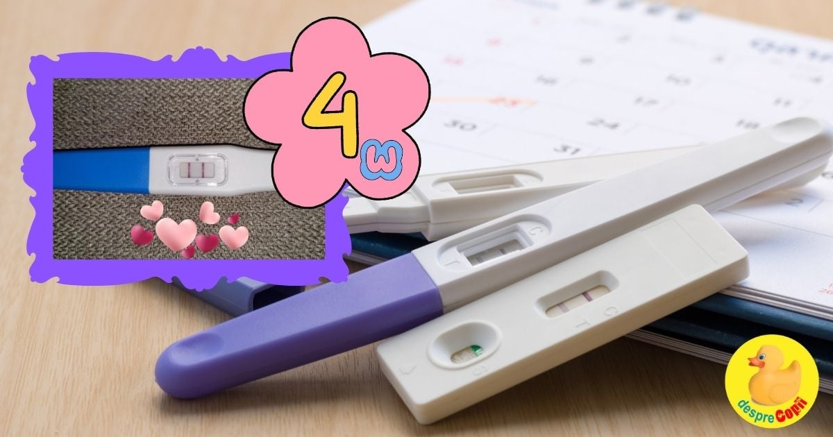 Saptamana 4 si inceputul calatoriei mele in lumea sarcinii - jurnal de sarcina width=