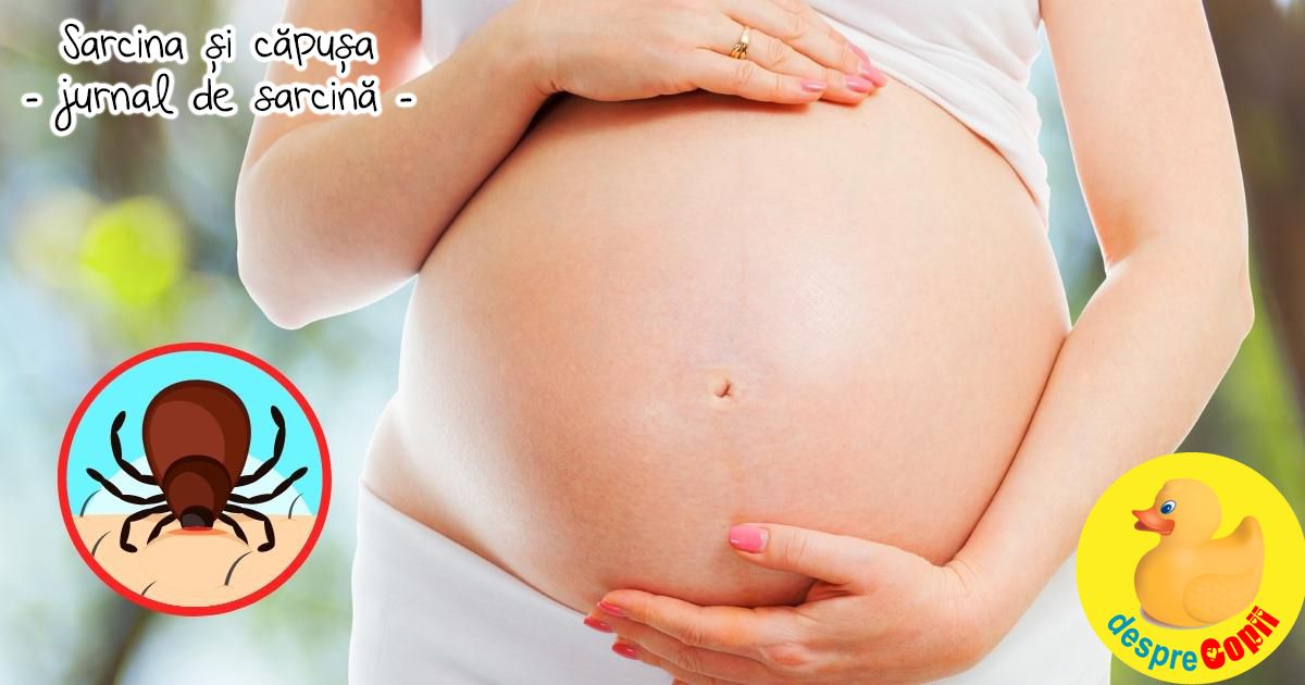 Ce se intampla cand esti gravida, alaptezi si te musca o capusa - jurnal de sarcina width=