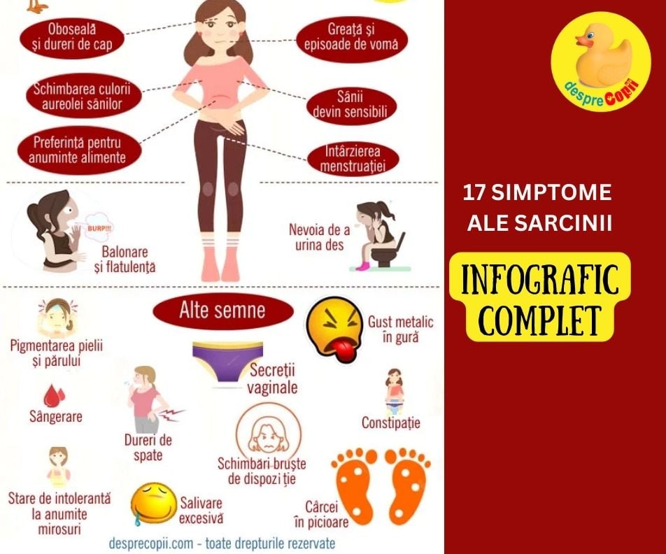 17 Simptome de sarcina -  toate semnele care anunta o sarcina in infografic complet