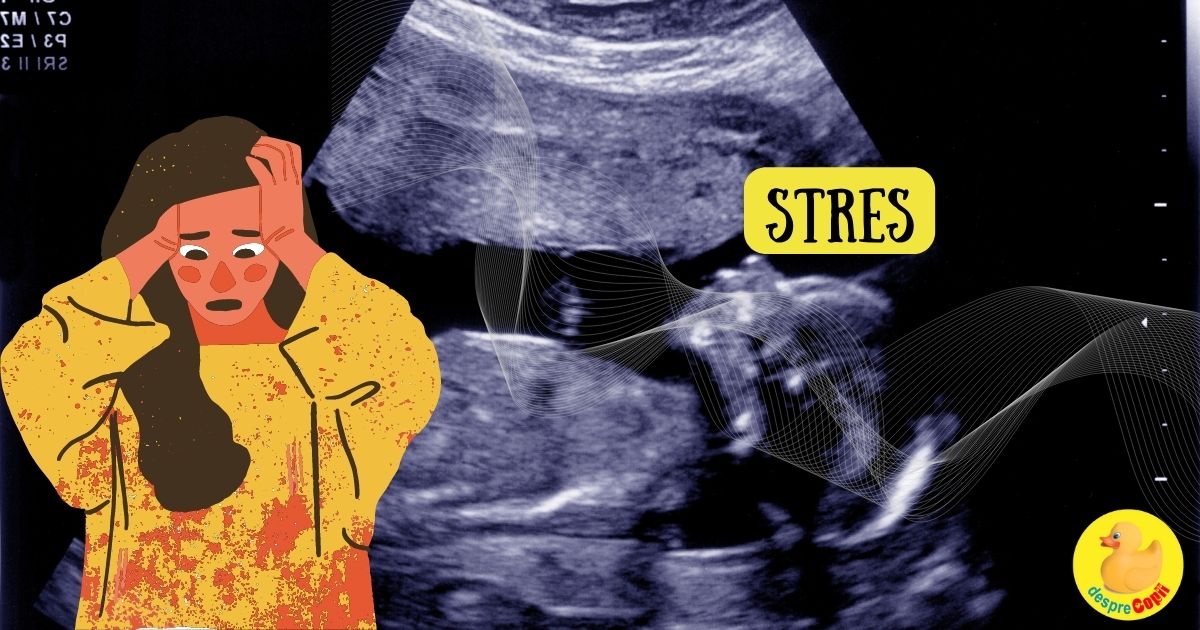 4 Efecte ale stresului in sarcina asupra fatului - stresul matern poate avea impact asupra dezvoltarii creierului si a sistemului nervos al copilului nenascut width=