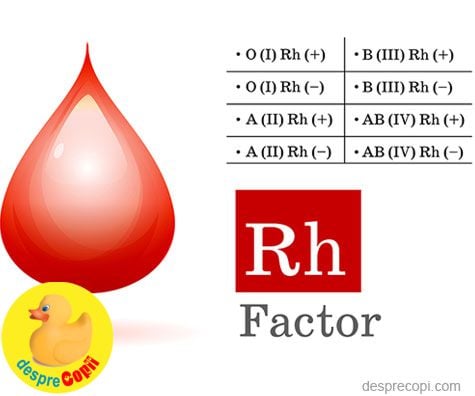 Expert Percentage Proof Grupele sanguine si Rh-ul | Desprecopii.com