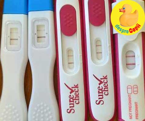 Ziua cu cinci teste pozitive de sarcină - jurnal de sarcină