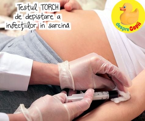 Testul TORCH de depistare a infecțiilor in sarcină - tot ce trebuie să știi