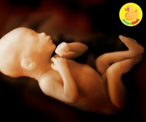 Bebelușii prematuri: oare bebelușii prematuri încearcă să scape de burtica mamei?